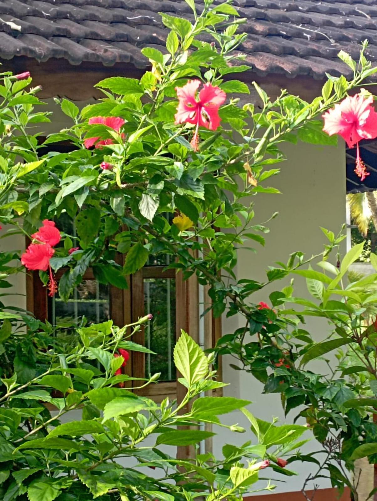 Gramam Homestay, Cochin Kochi Exteriör bild